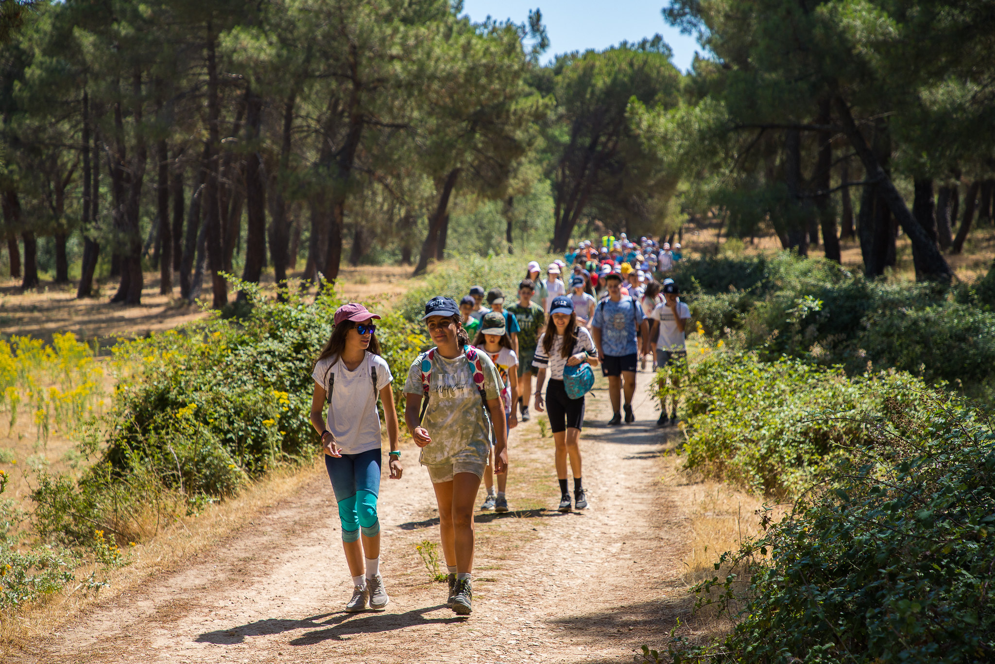 Viajes de fin de curso