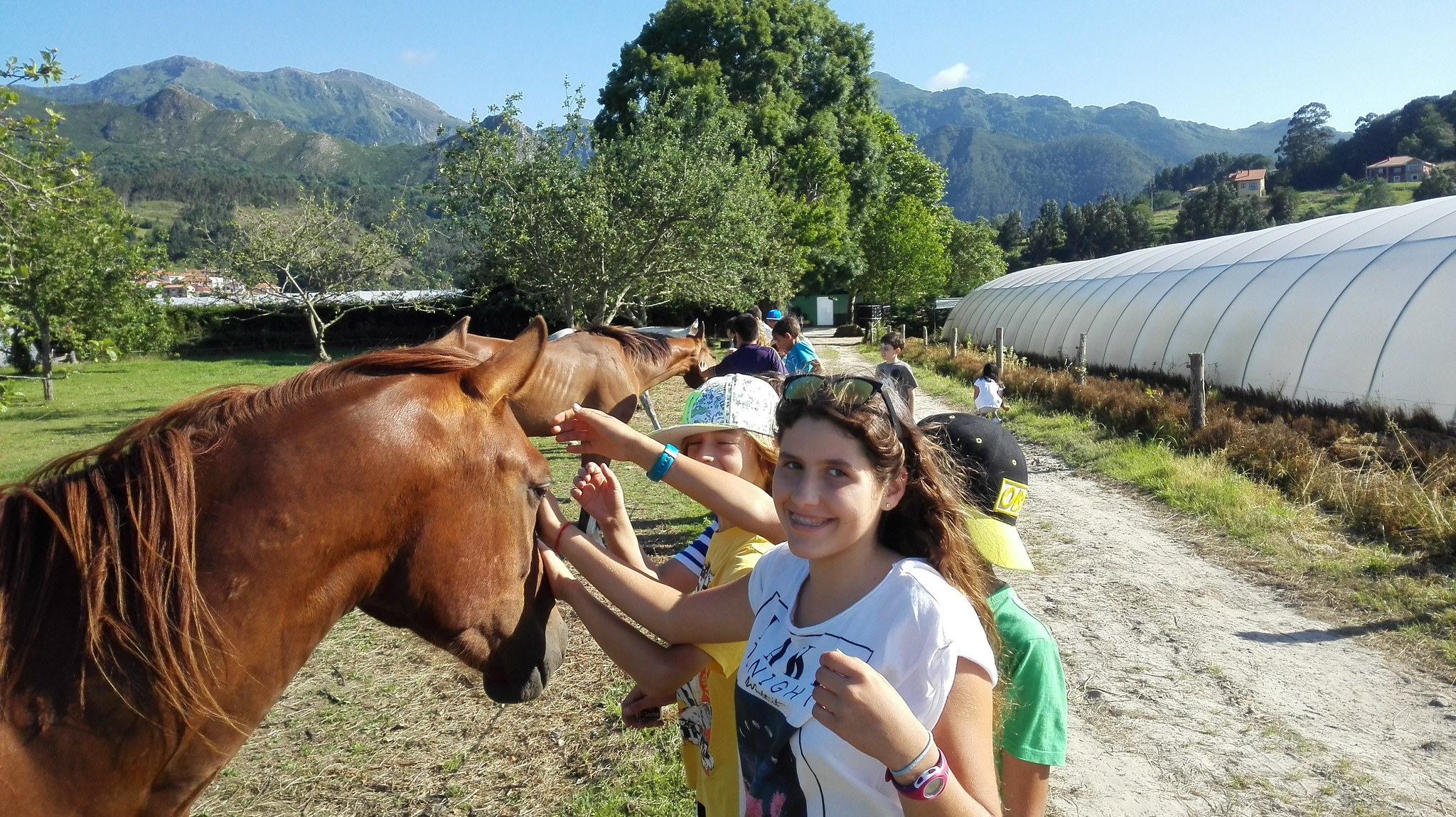 niña acariciando caballo en granja de montaña