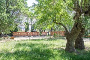 jardín con árboles y zona verde en albergue