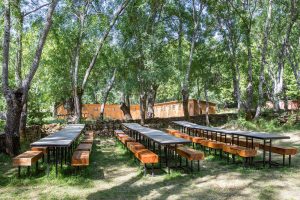 mesas y bancos de madera al aire libre entre árboles