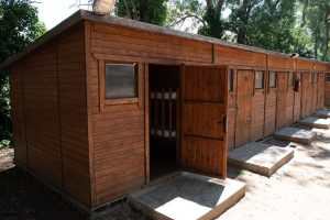 cabañas de madera en exterior de campamento