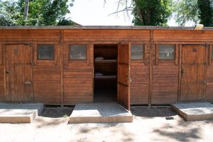 cabañas de madera con puerta abierta en campamento