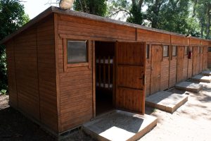 cabañas de madera en instalaciones de campamento