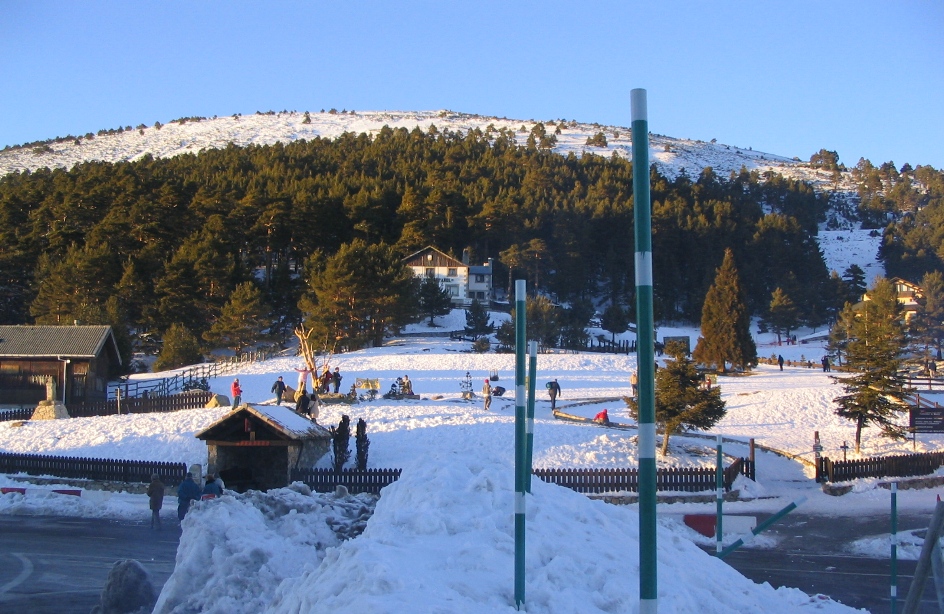 estación de cotos nevada con pistas de esquí y pinar