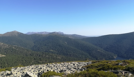 panorámica de montañas y bosque de la sierra de guadarrama